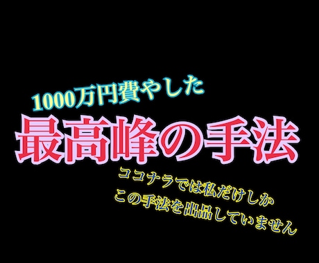 1000万円費やした最高峰の手法を伝授します 本気で未来を変えたい。本気で稼ぎたい気持ちの熱い人のみ募集。 イメージ1