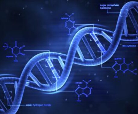 DNAアクティベーション☆　DNAを活性化して変化を加速させる　〜１段階目〜 イメージ2