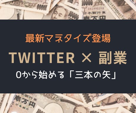 ツイッターを利用する約7割が知らない稼ぎ方教えます 時間のかかるもの、頭を使わないといけないものが苦手なあなたへ イメージ1