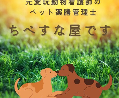ペット薬膳管理士が相談に乗ります 犬猫さんの体質診断、食事相談、ただ悩み聞いて欲しい！も歓迎。 イメージ2