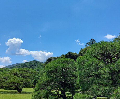 三貴神からのメッセージを届け、願いをお祈りします 三貴神とは、天照大御神様、月読命様、須佐之男命様です。 イメージ2
