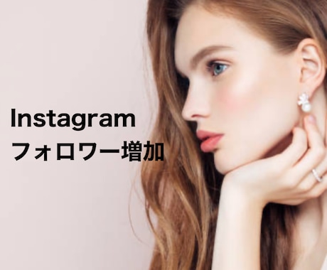 Instagramのフォロワー増加させます 外国人に宣伝し、フォロワー獲得を目指します！ イメージ1