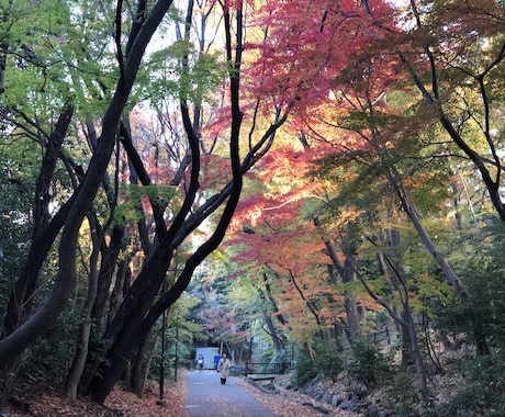 悩みや愚痴をどうぞ気軽に、待ってます いろいろ悩みや、言えない愚痴、他人に話したら楽になりますよ！ イメージ1