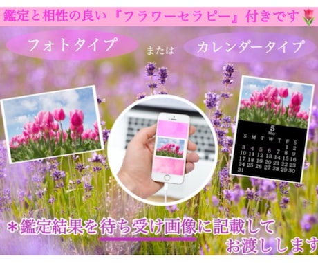恋愛／仕事／未来 ◆ オラクルカードで鑑定します 【名前・生年月日不要】妖精からの前向きになれるアドバイス イメージ2
