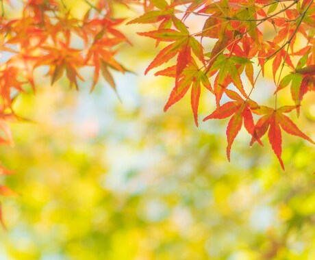 悩み事、愚痴、相談等何でも話し相手になります 嫌なことはさっさと吐き出して楽になりましょう イメージ1