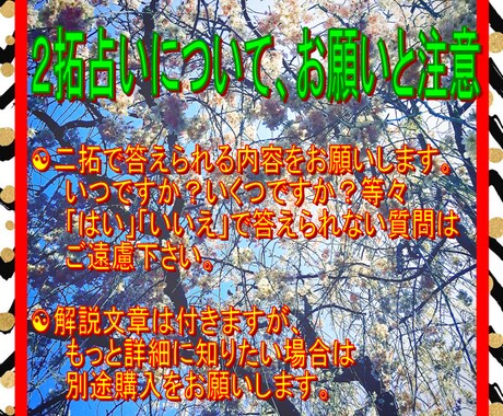 あなたのお悩みに「はい」「いいえ」で明確に答えます ☯二拓選択易占☯東洋最古最長最大最強が全身全霊全力尽力です☯ イメージ2