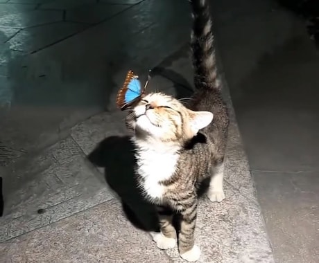 NGはありません。なんでもお話しききます どんな話でもいいのであなたのお話を聞かせてください。 イメージ1