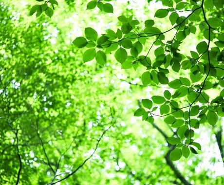 お悩み事のご相談に乗ります カウンセリング。相談がある方におススメです。 イメージ2