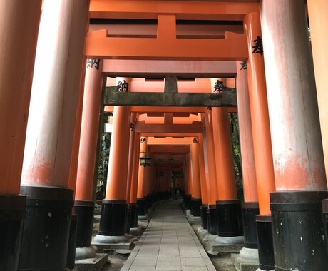 あなたの気になる近未来をタロット鑑定いたします あなたの現在地から近未来を鑑定し、アドバイス致します イメージ2