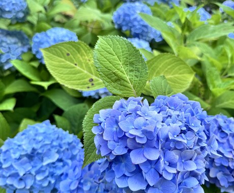 オーダーメイドな相談に乗ります ただ聞いて受け止めることから、一歩踏み出す為のアドバイスまで イメージ1