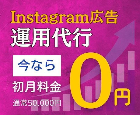 Instagram広告の運用代行します ≪実績100社以上≫累計7.6億円の運用代行経験あり イメージ1