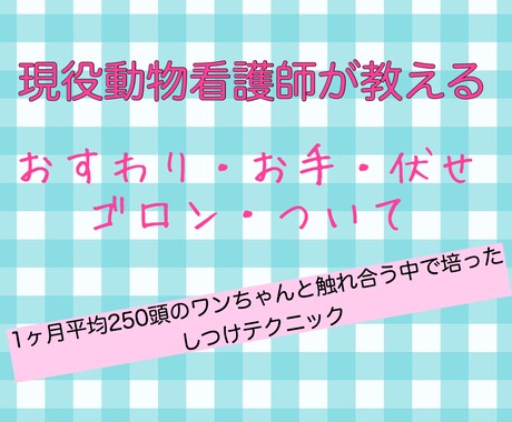 4つのステップで天才犬。しつけの方法教えます 超簡単！他の芸にも応用できるお座り伏せ等の教えさせ方 イメージ1