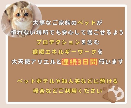 ペットの不安軽減☆ホテル滞在を大天使が守護します ★大天使アリエル★ペットへの遠隔ヒーリングとプロテクション イメージ2
