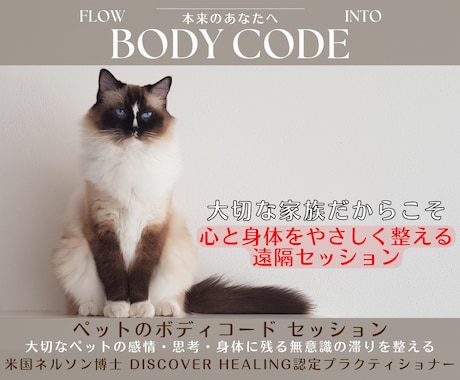 愛するペットの心・体・エネルギーを根本から整えます イメージ1