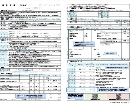 高品質な日本政策金融公庫の創業計画書を作成します 資金調達累計額1億円を超えるコンサルタントが創業計画書を作成 イメージ2