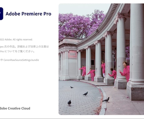 初めての動画編集、わかりやすくレクチャーします ADOBE Premiere Pro の基本的な使い方 イメージ1