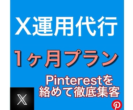 プロの手作業！X（Twitter）運用代行します 僕しかできない！ピンタレストを絡めて徹底的に集客します！ イメージ1