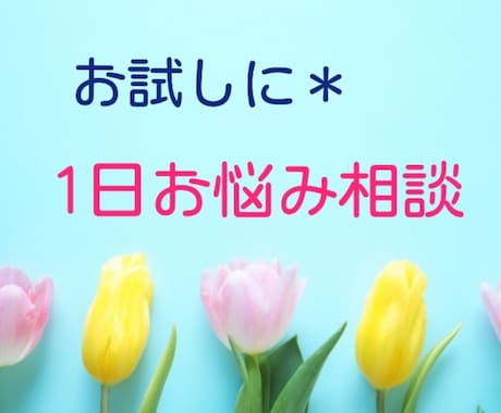 1日お試し！なんでもお話し聞きます イメージ1