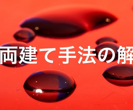 プロが使用！珠玉の両建て手法を提供します MT4のとブローカーの歪みを利用した両建て手法の解！ イメージ1