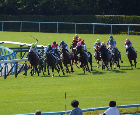 すぐに使える競馬予想AIを提供・レクチャーします カレンダーからレースを選択して簡単予測！ イメージ1