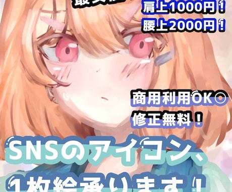 SNSのアイコン、一枚絵、お描きします SNSのアイコン、一枚絵描きます。 イメージ1