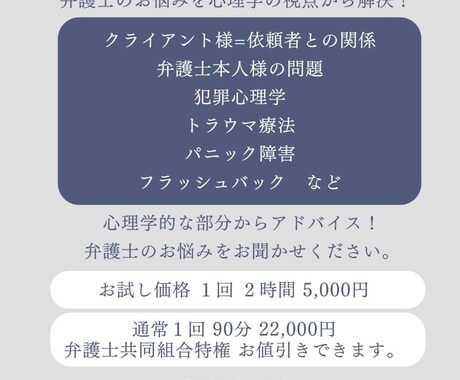 弁護士の悩みを解決、カウンセリングします 弁護士のお悩みを心理学の視点から解決 イメージ1