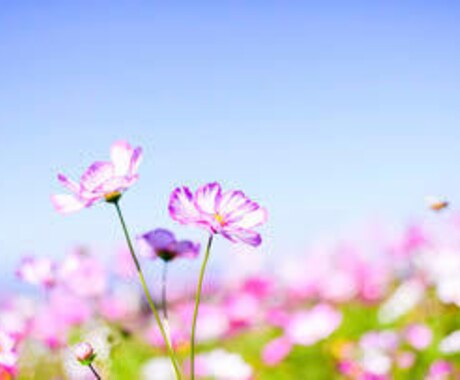 どう進めばいいのか、一緒に整理します 答えが見えなくても、いっしょに考えれば大丈夫。 イメージ1