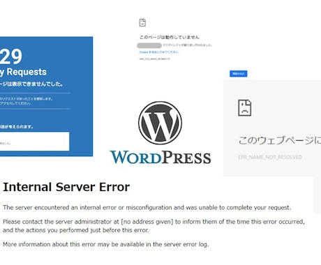 ワードプレスのエラーの原因特定・直し方資料送ります WordPressが突然表示されない…原因別・対処マニュアル イメージ1
