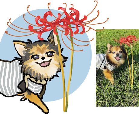 ペットの写真からイラスト描きます ワンちゃんネコちゃんのイラストをお写真から描かせて頂きます！ イメージ1