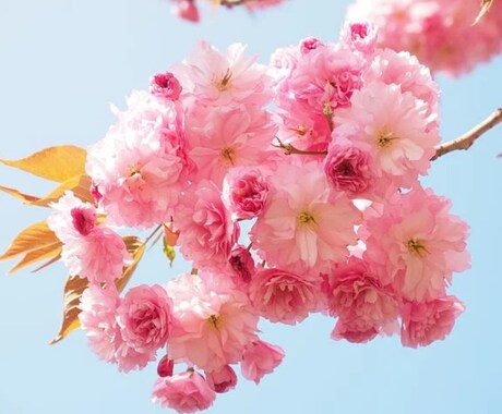 美しさを手にいれる美人霊符差し上げます 女性にも男性にもオススメ！美しくありたいあなたへ！ イメージ1