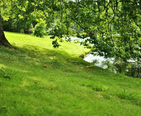 英語⇒日本語に翻訳いたします 長文も大歓迎！自然な翻訳をお届けします イメージ1