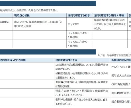 CRAの悩みの種、症例登録促進をお助けします 症例登録を動かす！CRA施設訪問準備シート＆記入例集！ イメージ2