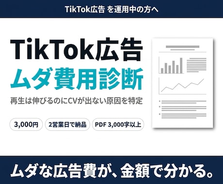 現役運用者がTikTok広告を診断します イメージ1