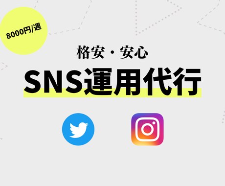 SNS運用(インスタ・Twitter)を代行します 実績獲得のため【8000円→5000円】 イメージ1