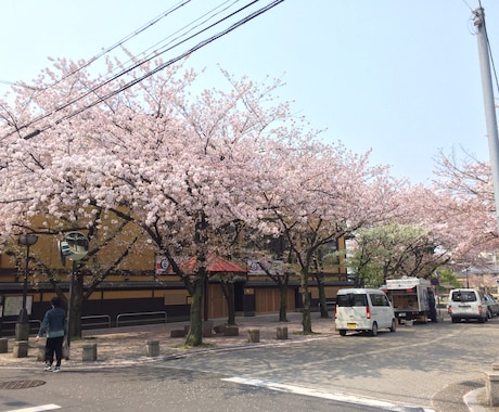 【京都】 リクエストにお応えして京都市内の写真を撮ってきます！ イメージ1