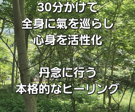身体のヒーリングを行います 氣の術で身体全体の調子を整えます。 イメージ2