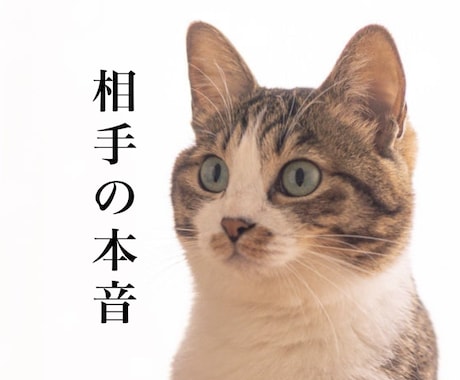 即対応/お相手の本音を霊視します 霊視で相手の本音を知り、より深い関係に。 イメージ1