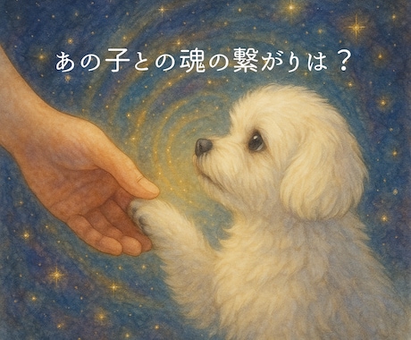 あなたとペットさんの深いつながりを紐解きます 〜私とあの子の物語〜アニマルコミュニケーション〜 イメージ1