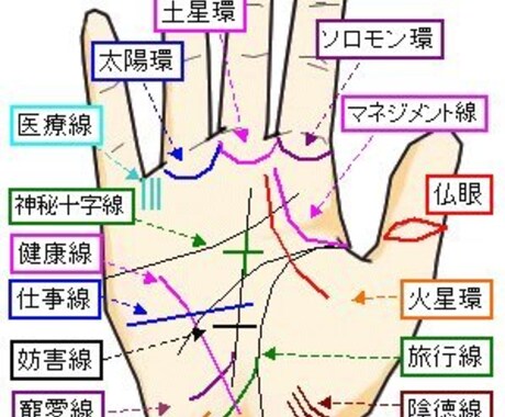 恋愛、仕事、貴方の悩みは？手相占いできます 恋愛、仕事、etcどんな悩みでもok! イメージ1