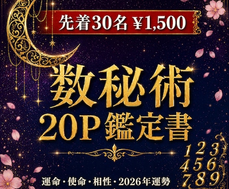 先着30名¥1,500：数秘術20P本格鑑定します ピナクル・9年サイクル・月運完備の本格PDF鑑定書 イメージ1