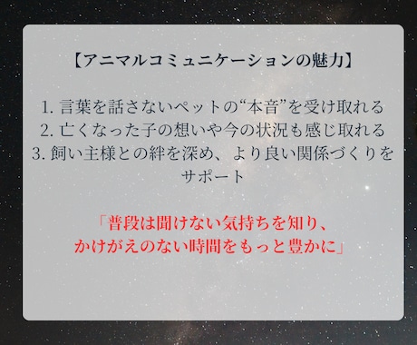 アニマルコミュニケーション｜魂と対話します 亡くなった子も可能。過去世や相性、エネルギー解析もできます イメージ2