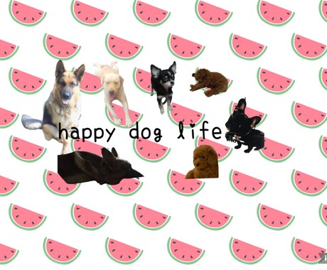 犬のことなら何でも聞きます ドッグスクールで犬達と一緒に育ちました！ イメージ1