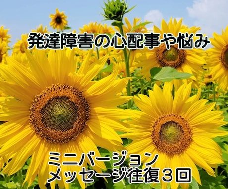 ３往復 発達障害全般の心配事や悩みを聞きます 小学校勤務の特別支援教育支援員が、あなたに寄り添います イメージ1