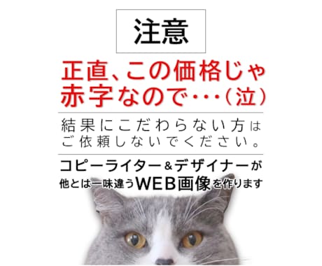 購買心理に基づいて高い反応率のWeb画像を作ります コピーライター＆デザイナーが他とは一味違うバナーを作ります！ イメージ1