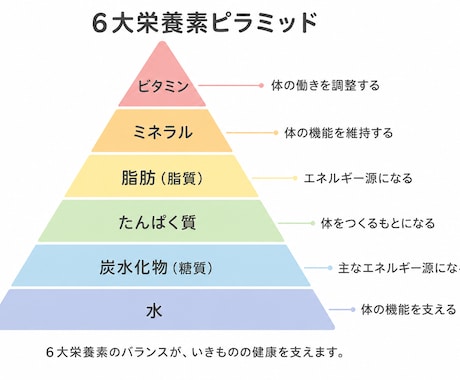 ペットの栄養に関する講義を行います いきものの栄養に関する知識の習得をサポートします イメージ1