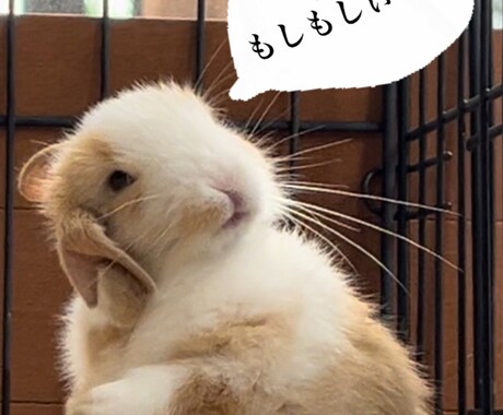 ジャンル問わずなんでも受け取めます ナースに相談してみたいこと、病院のあるある話で盛り上がる イメージ1