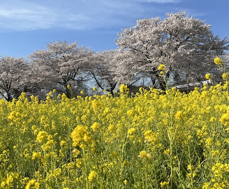 何でも聞きます！石川県の話も歓迎します 人間関係や仕事の愚痴や相談何でも聞きます！世間話や嬉しい事も イメージ1
