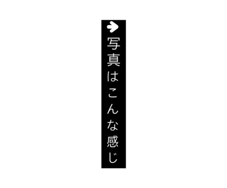 商用利用可能な写真素材1~30枚提供します 具体的には自然の風景、猫や鶏、犬などの動物の写真を提供します イメージ2