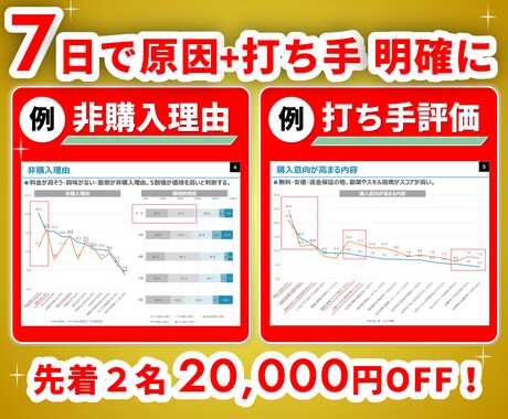 熟練マーケターが、販売不振の原因を正確に特定します 【⚡調査料金ALL込】【⚡先着2名様20,000円OFF⚡】 イメージ2