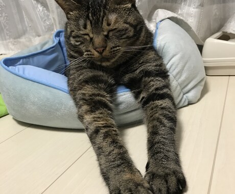 聞きます人間関係､上司同僚問題など　一緒に考えます 嫌いな人いますか？私はいますよ　バンバン愚痴ってください イメージ2
